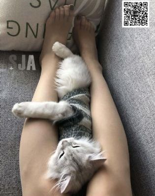 久久99免费_BD韩语手机在线观看
